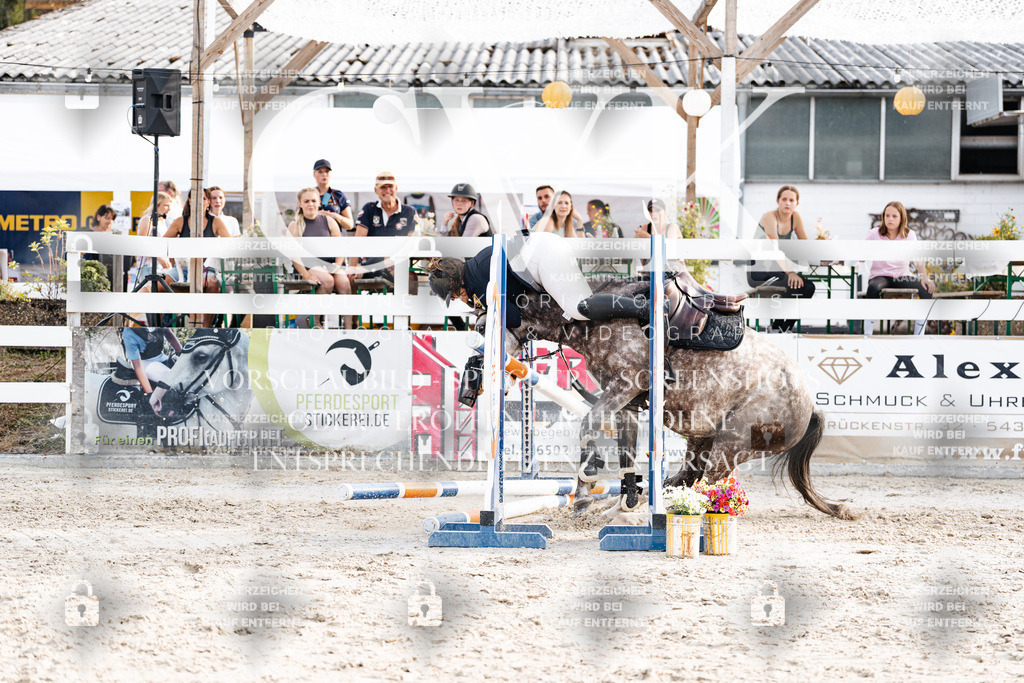 CK907026 | Turnierfotografie Pferdefotografie Trier Rheinland-Pfalz Pferdesport Reitsport Tierfotografie Sportfotografie Pferdevideo Pferdevideografie Equestrianvideography equestrianphotography  - Realisiert mit Pictrs.com