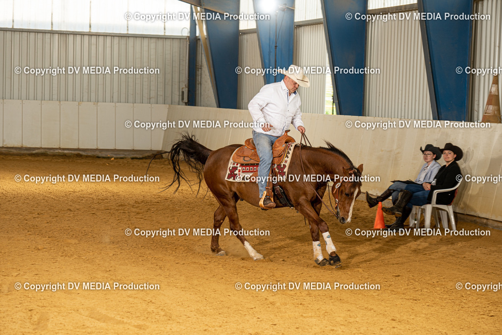 MIT00221 | dv-media-shop - Realisiert mit Pictrs.com