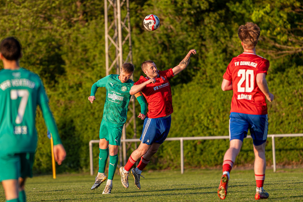 Fußball I Herren I Saison 2025-2026 I Landesliga Weser-Ems I 17. Spieltag I TV Dinklage - VfR Voxtrup I 12603 | jns.sportfotos - Realisiert mit Pictrs.com