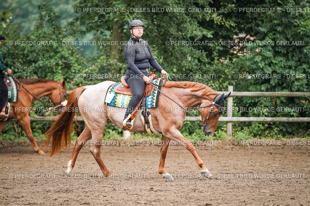 DSC01791 | Pferdegrafie