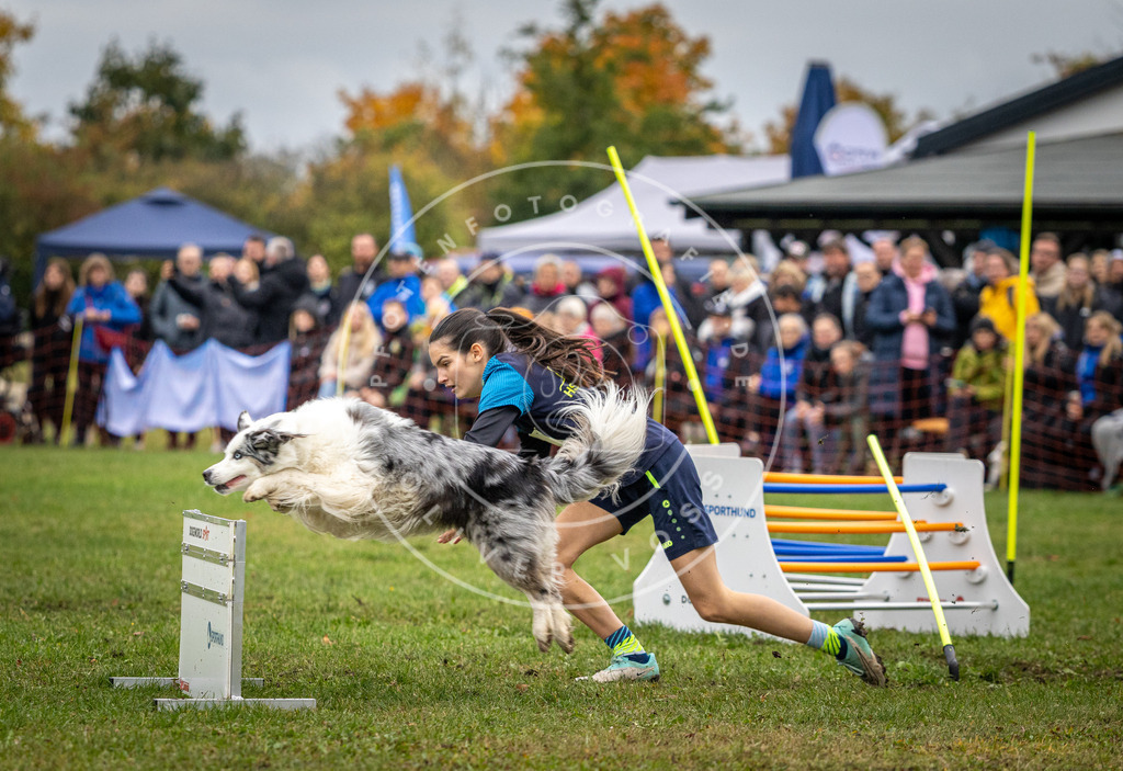 Pfotenfotografie_DV3A0618 | Hundefotografie, Tierfotograf, Pfotenfotografie, Fotoshooting Hund, Hunde Portrait, Hundesport, Hundeportraits, Heideshooting, Hunde, Sportfotograf, Hundefotograf, Turnierhundsport, THS,  - Realisiert mit Pictrs.com