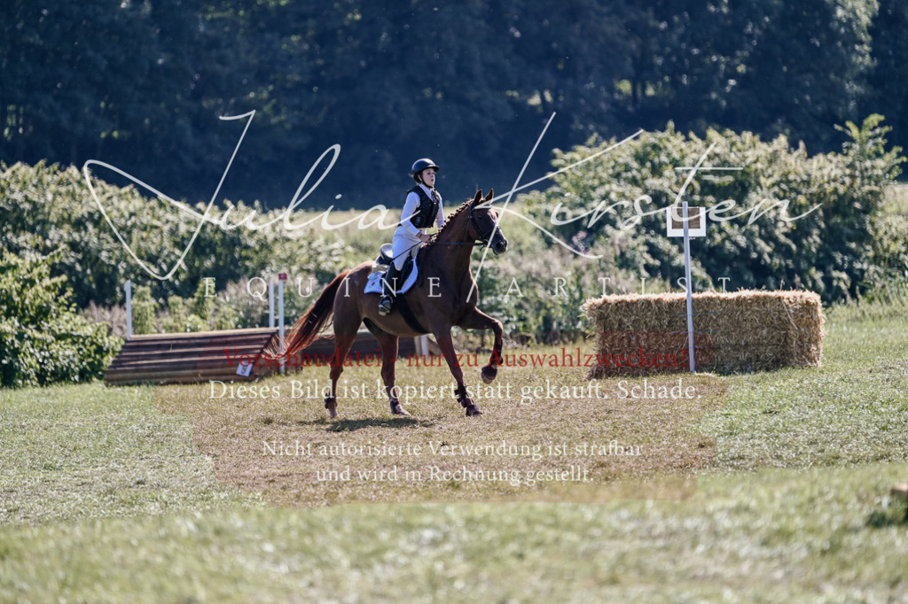 DSC_2653 | Pferde- und Turnierfotografie in Westsachsen. Pferdeportraits, Auftragszeichnungen und intuitive Kunst.