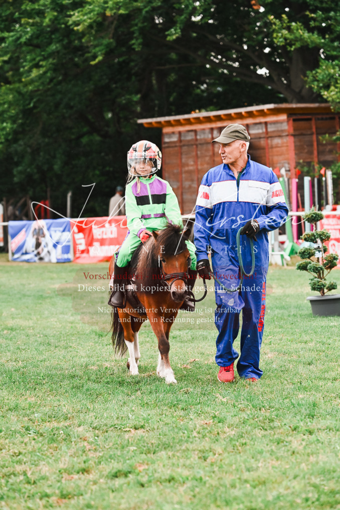 DSC_7578 | Pferde- und Turnierfotografie in Westsachsen. Pferdeportraits, Auftragszeichnungen und intuitive Kunst.