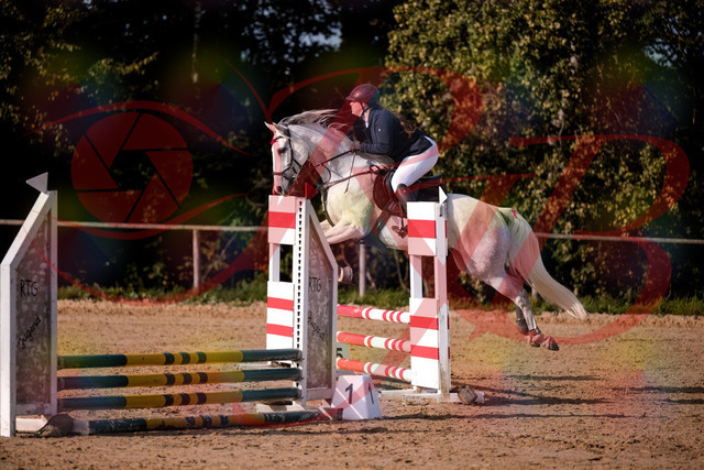 2026_10_03_Siefer-Hof_153958_Z81_55779643 | Professionelle Reitsport-, Turnier- und Eventfotografie von Robert Broda. Galerien mit ausgewählten und bearbeiteten Bildern direkt online ansehen und bestellen.