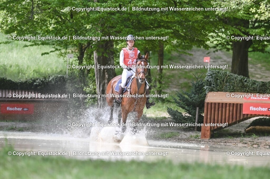 20250517_CCI2_Gelände_1106 | Foto: Thomas Hartig