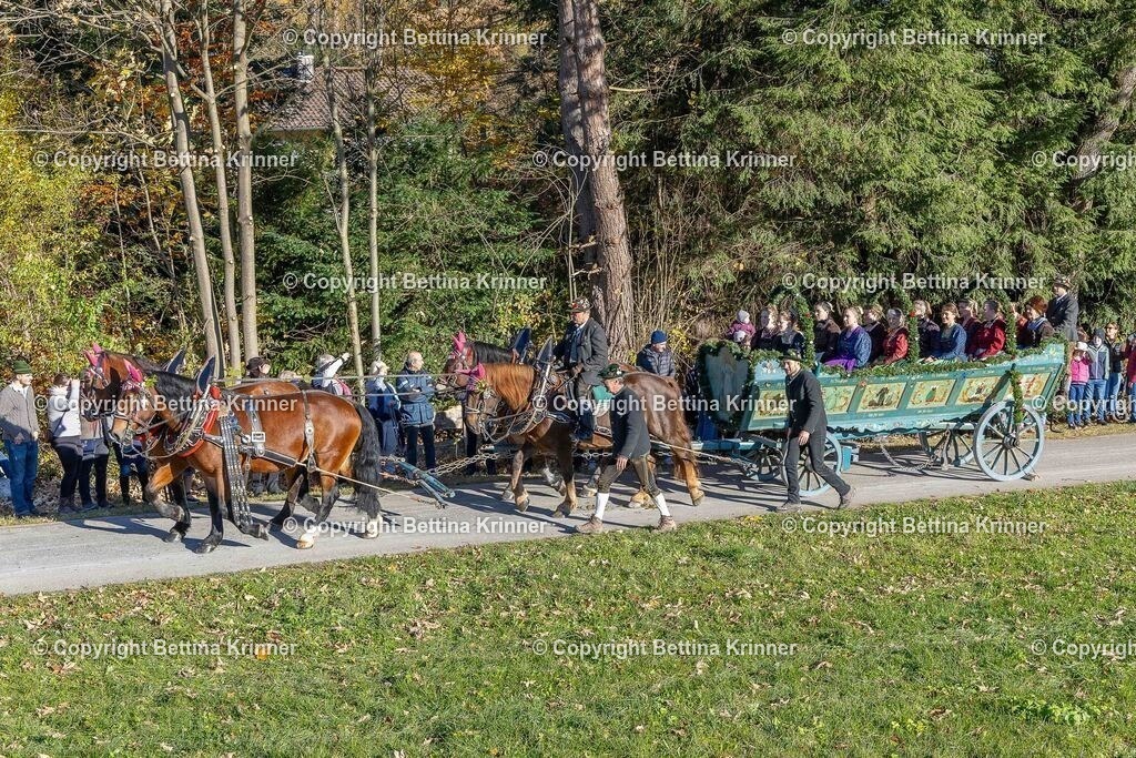 LBT25-133 | foto-bettina-krinner - Realisiert mit Pictrs.com