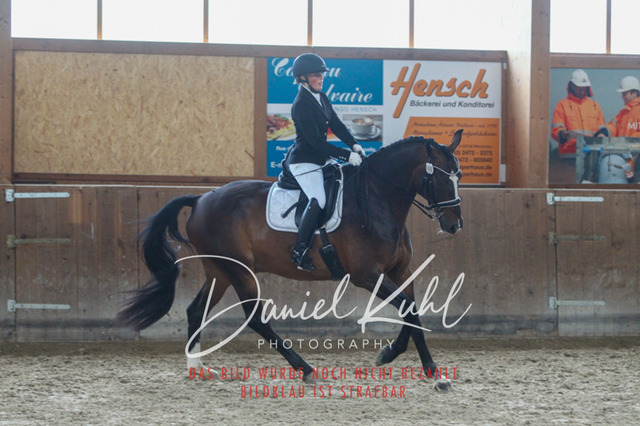 DKP44545 | Turniersportfotografie; Pferdefotografie; Dressurfotografie