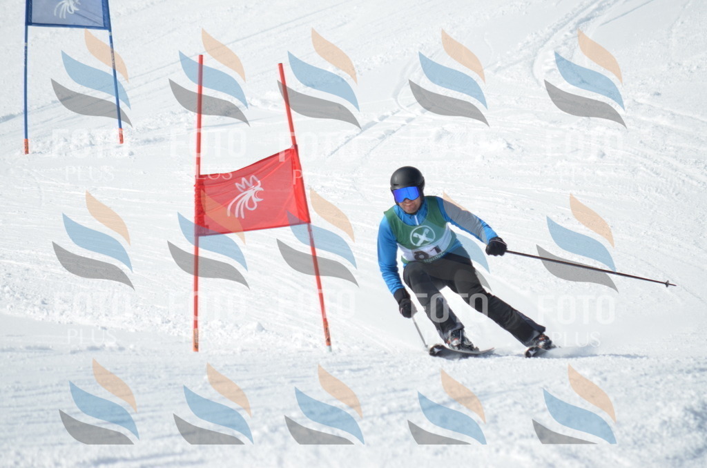 D9013 | holidayphoto