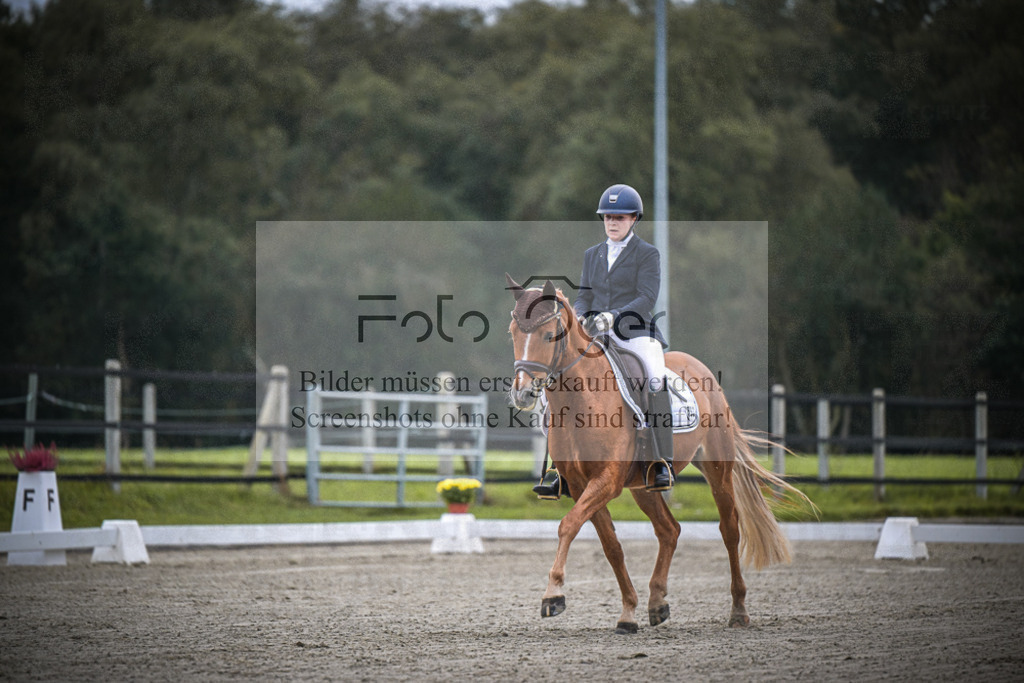 DOS_0461 | Entdecke hochwertige Reitturnierfotos von Foto Oger. Professionell, emotional und authentisch – jetzt Lieblingsmomente im Shop bestellen.Deutschlandweite Turnierfotografie. - Realisiert mit Pictrs.com