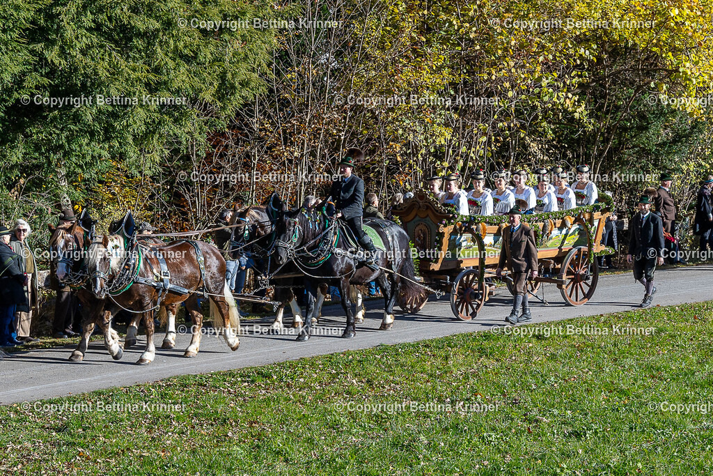 LBT25-83 | foto-bettina-krinner - Realisiert mit Pictrs.com