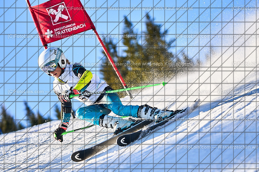 ALP3612_KinderVergleich-RTL-I_Trattenbach_Ungersbaeck David | NÖ Landeskindervergleichskampf-Riesentorlauf auf dem Feistritzsattel in zwei Durchgängen, Sa 25. Jänner 2025.