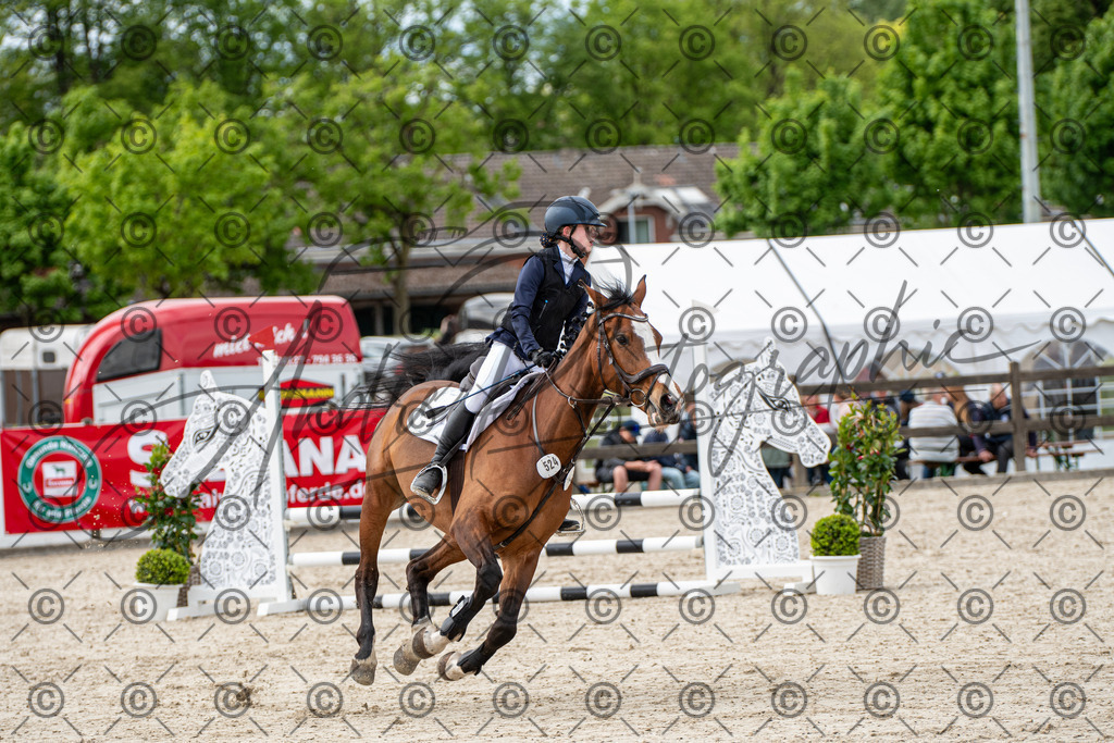 KPT_6504 | andre_photographic