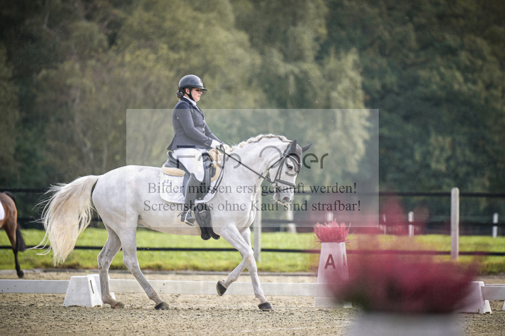 DOS_B436 | Entdecke hochwertige Reitturnierfotos von Foto Oger. Professionell, emotional und authentisch – jetzt Lieblingsmomente im Shop bestellen.Deutschlandweite Turnierfotografie. - Realisiert mit Pictrs.com