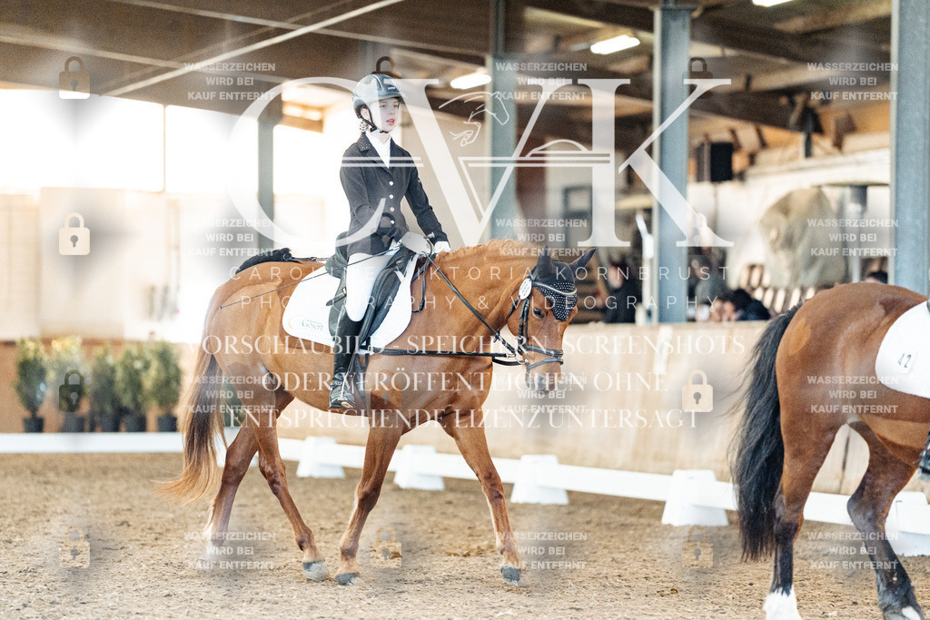 CK907847 | Turnierfotografie Pferdefotografie Trier Rheinland-Pfalz Pferdesport Reitsport Tierfotografie Sportfotografie Pferdevideo Pferdevideografie Equestrianvideography equestrianphotography  - Realisiert mit Pictrs.com