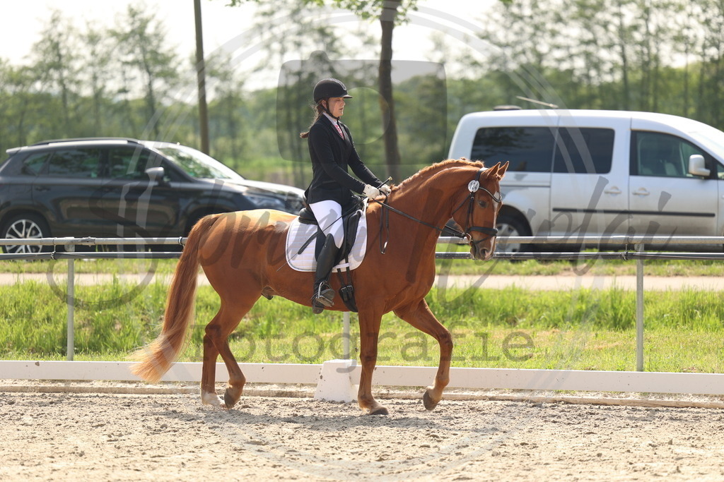 994A6637 | sabrinanicolaifotografie - Realisiert mit Pictrs.com