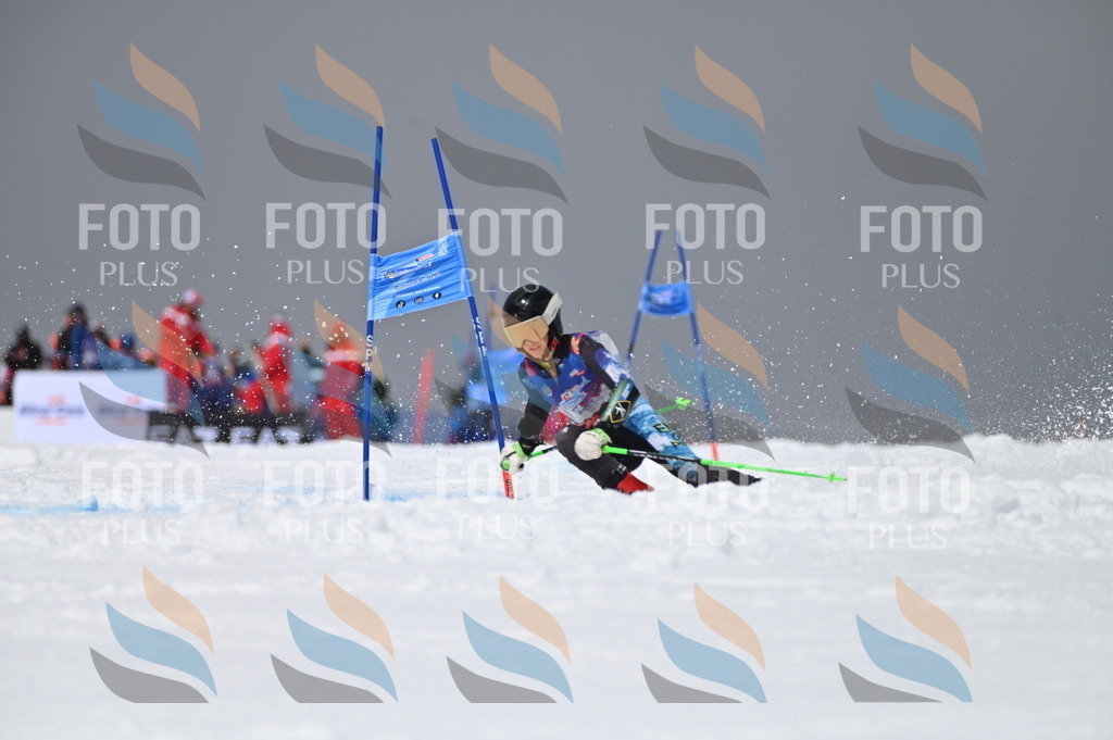 AGV_4858 | holidayphoto