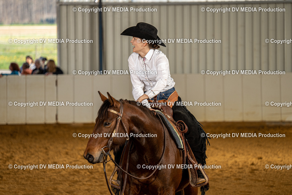 MIT00781 | dv-media-shop - Realisiert mit Pictrs.com