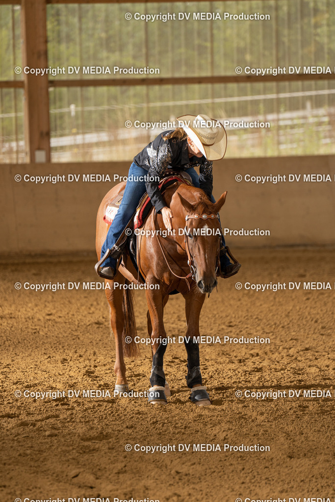 LAU01649 | dv-media-shop - Realisiert mit Pictrs.com