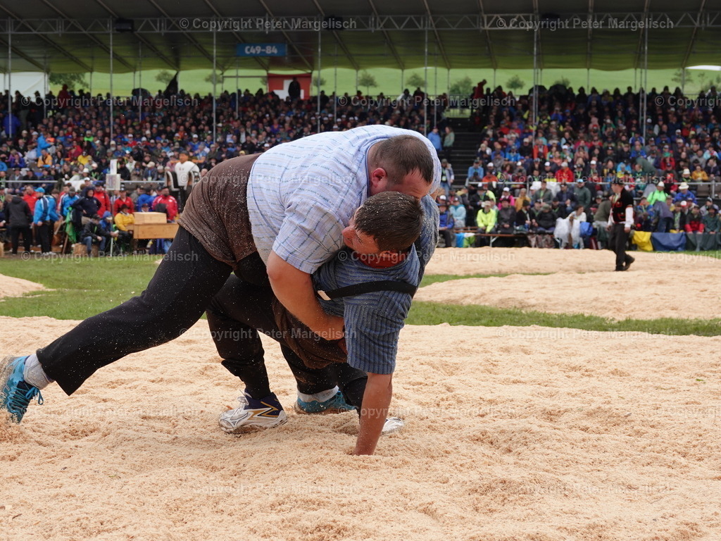 DSC07997 | Schwingen - Realisiert mit Pictrs.com