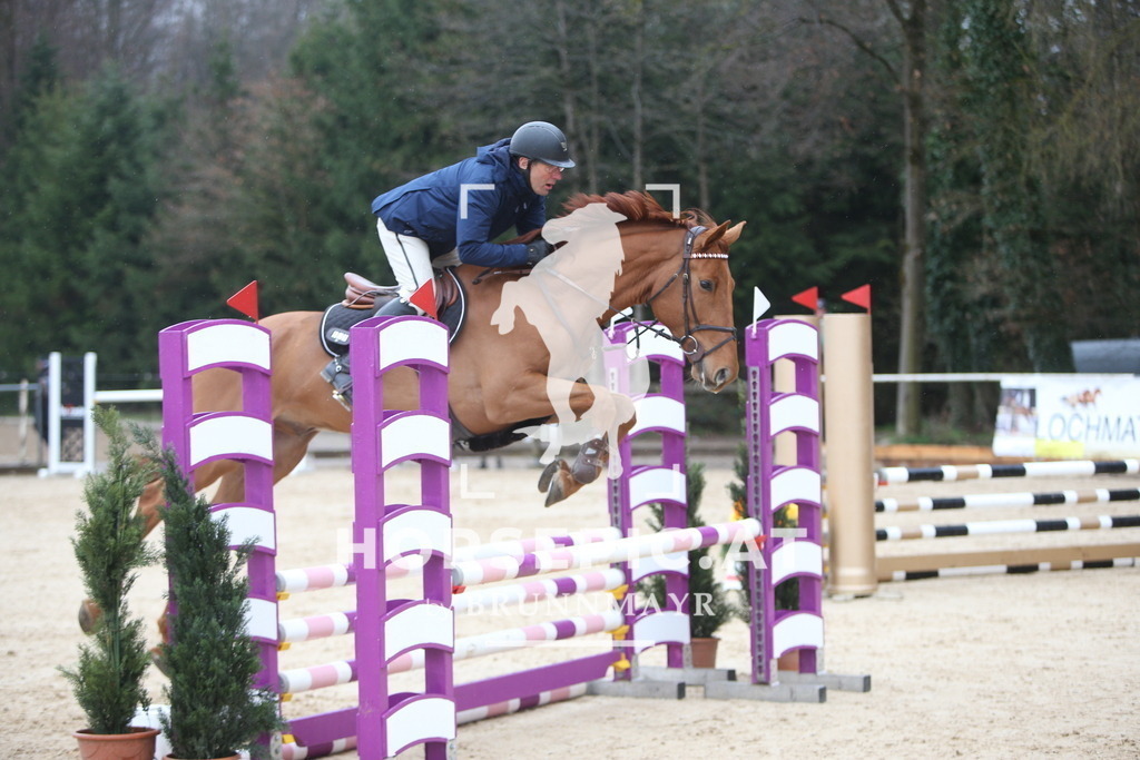 AS8V9434 | Willkommen bei Brunnmayr - Design & Fotografie – Ihrem Spezialisten für Reitturniere und Pferdeveranstaltungen in Oberösterreich, Salzburg und Bayern! Seit über 17 Jahren sind wir leidenschaftlich dabei.