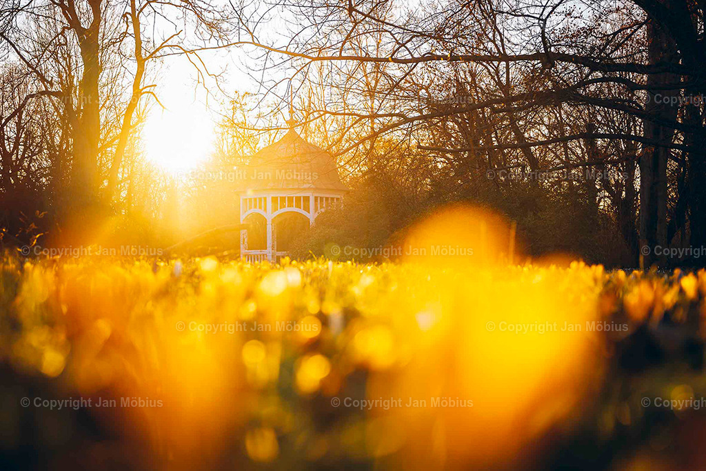 Johanna-Park | Der Johanna-Park in Leipzig verbindet Ruhe, Natur und Citynähe – ideal für Spaziergänge, Entspannung und Ausblicke auf die Stadtkulisse. - Realisiert mit Pictrs.com