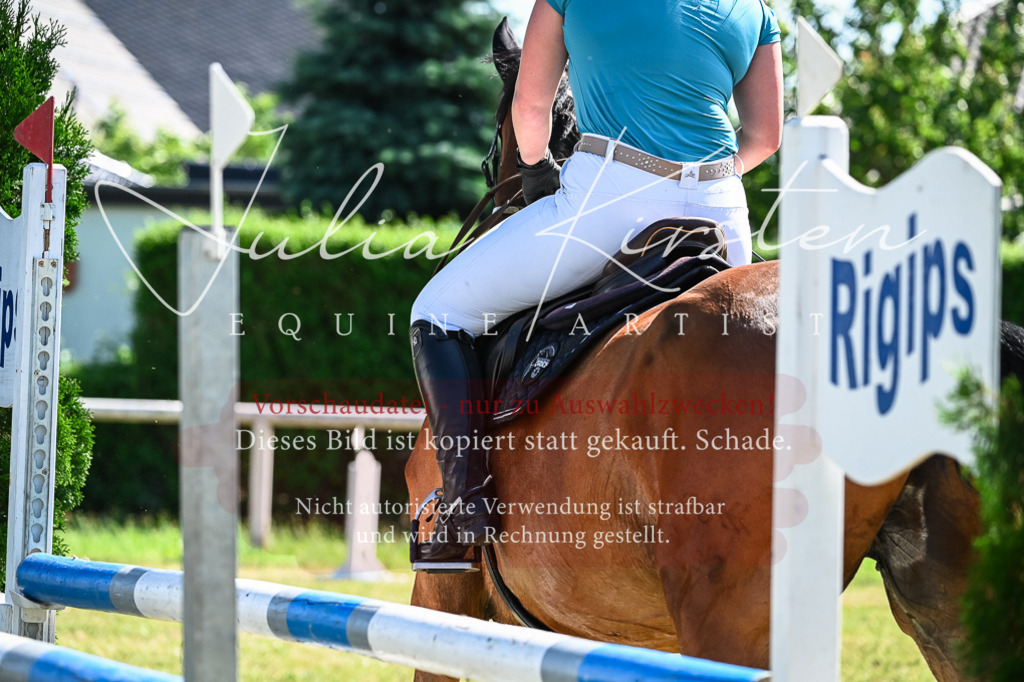 DSC_1522 | Pferde- und Turnierfotografie in Westsachsen. Pferdeportraits, Auftragszeichnungen und intuitive Kunst.