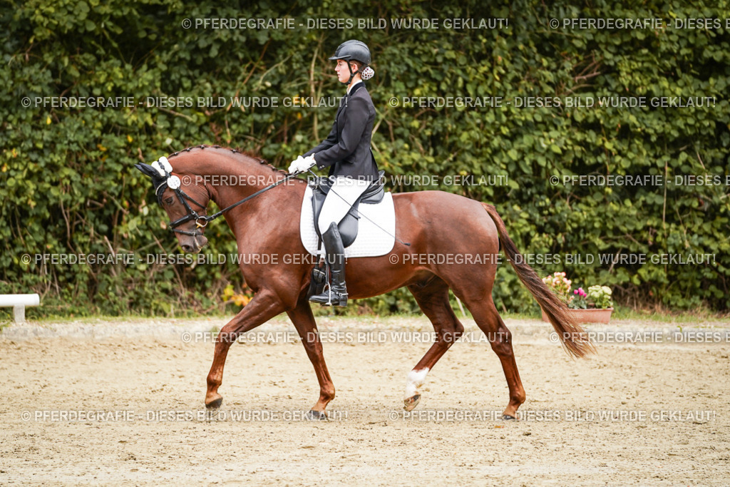 DSC00350 | Pferdegrafie