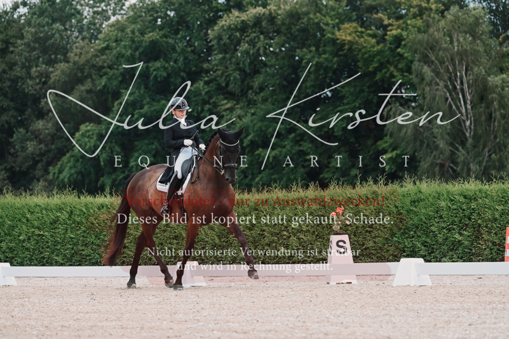 DSC_4159 | Pferde- und Turnierfotografie in Westsachsen. Pferdeportraits, Auftragszeichnungen und intuitive Kunst.