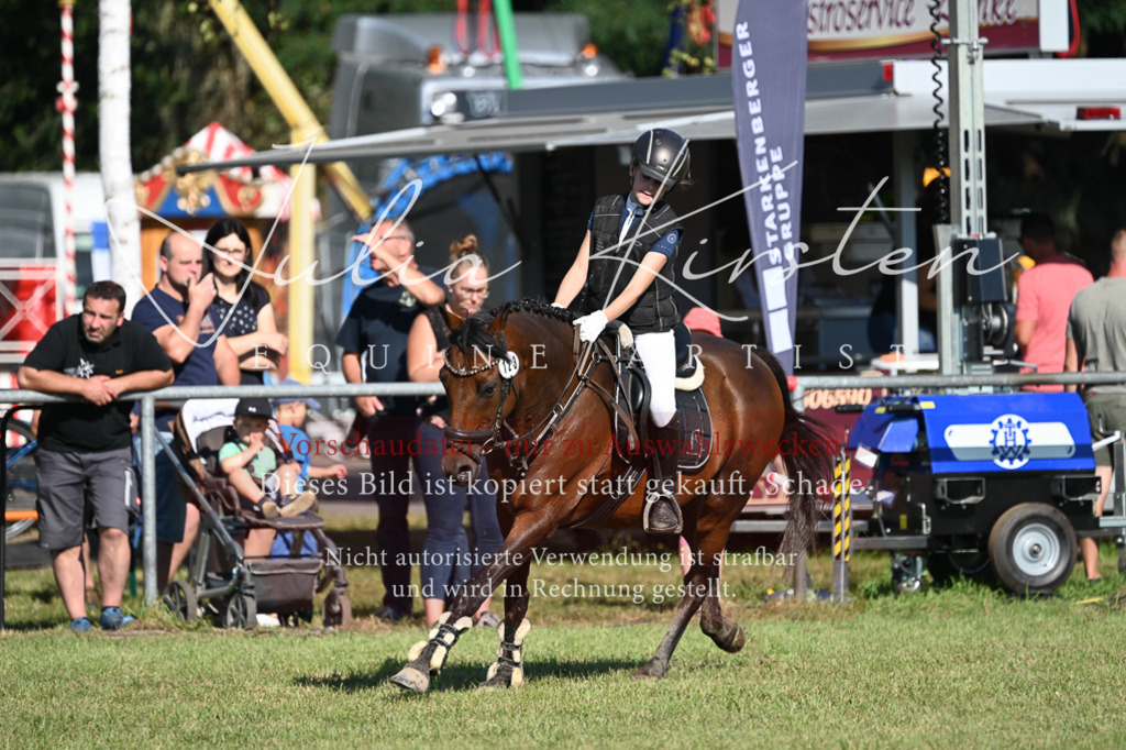 DSC_5234 | Pferde- und Turnierfotografie in Westsachsen. Pferdeportraits, Auftragszeichnungen und intuitive Kunst.