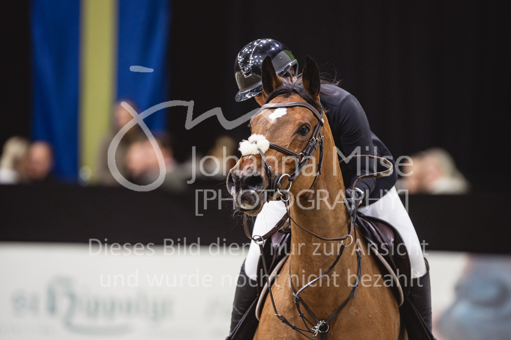 231028_Oldenburg_S1-Spr_Amateure-142 | Deine schönsten Turniermomente als professionelle Fotos! Entdecke hochwertige Pferdesport-Fotografie im Online-Shop. Jetzt Fotos finden & bestellen!