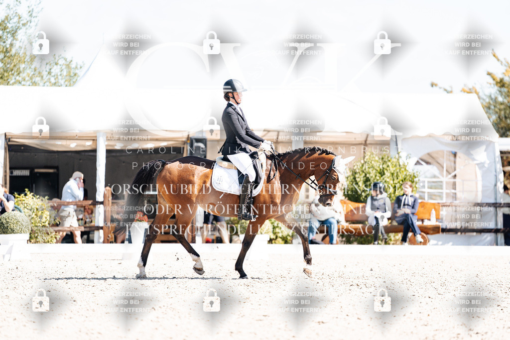 CK903731 | Turnierfotografie Pferdefotografie Trier Rheinland-Pfalz Pferdesport Reitsport Tierfotografie Sportfotografie Pferdevideo Pferdevideografie Equestrianvideography equestrianphotography  - Realisiert mit Pictrs.com