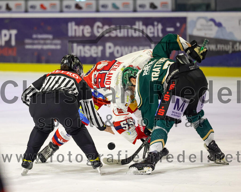 2026-02-20_112_TSV_Erding_gegen_Deggendorfer_SC | Erding, Deutschland, 20.02.2026:Eishockey, Oberliga Süd 2025 / 2026, 49. Spieltag, TSV Erding gegen Deggendorfer SC, Endergebnis: 4:1Luke Weilandt (Deggendorfer SC, #55), Louis Trattner (Erding Gladiators, #7)Foto: Christian Riedel / fotografie-riedel.net