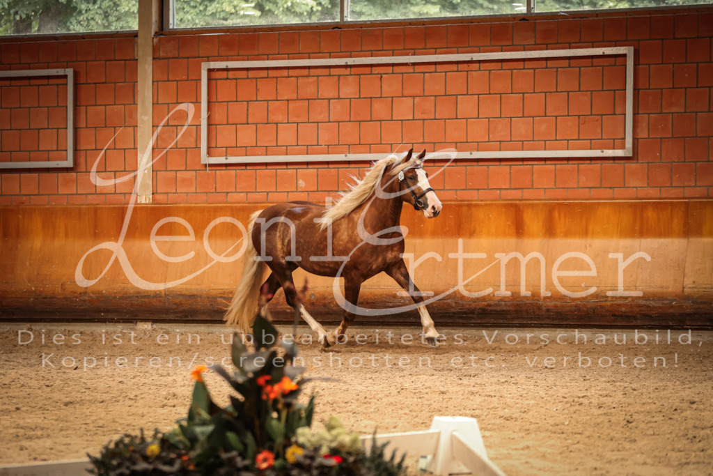 SaFL00475 | Leoni Ertmer Photography - Realisiert mit Pictrs.com