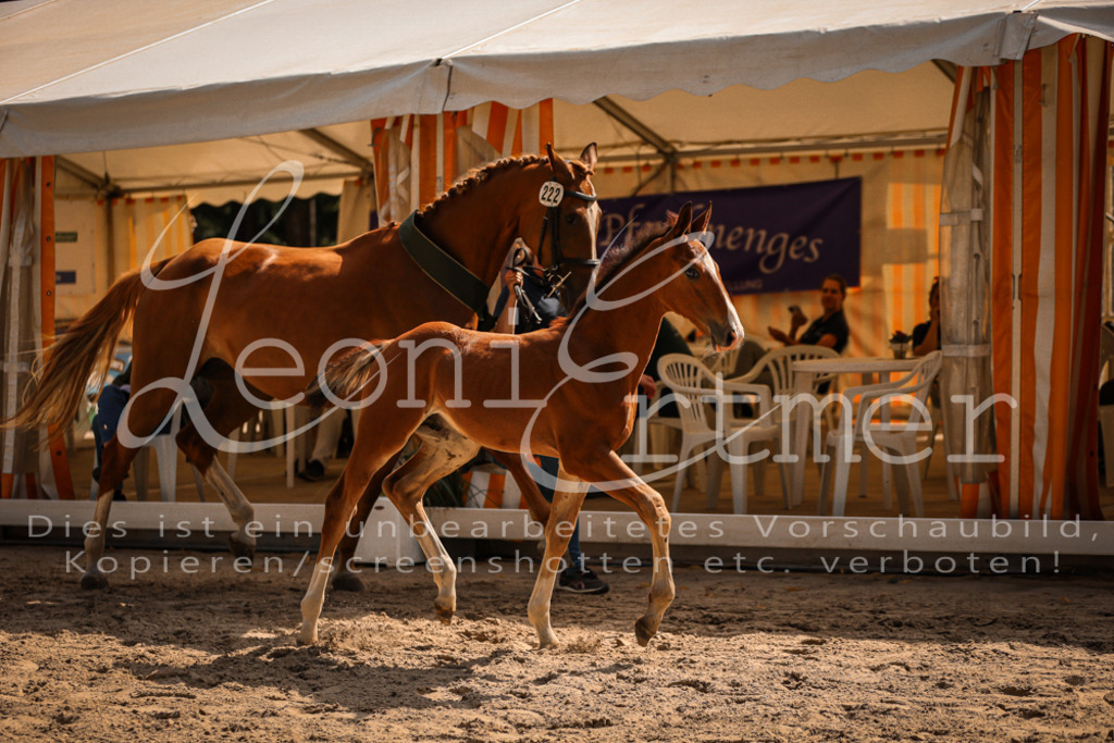 07.DoWBS00152 | Leoni Ertmer Photography - Realisiert mit Pictrs.com