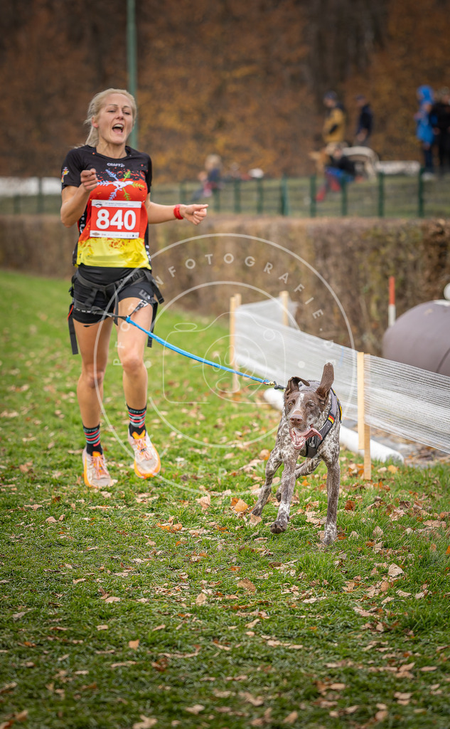 CaniXpix_DV3A6232 | Hundefotografie, Tierfotograf, Pfotenfotografie, Fotoshooting Hund, Hunde Portrait, Hundesport, Hundeportraits, Heideshooting, Hunde, Sportfotograf, Hundefotograf, Turnierhundsport, THS,  - Realisiert mit Pictrs.com