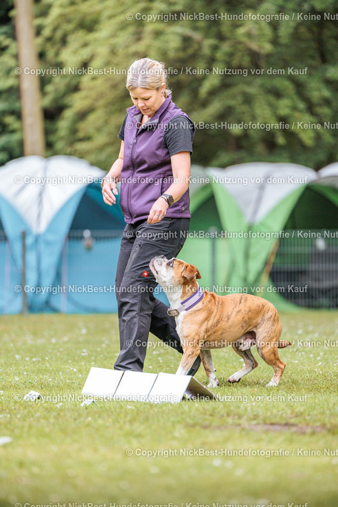 RO-Blumenthal-2026-Nickbest-Hundefotografie-1161 | Dein Hund! Dein Moment! Deine Erinnerungen! Hundefotografie in Bremen Blumenthal. Ich fange die besonderen Momente deines Vierbeiners ein – ob Indoor mit Blitzanlage oder in der freien Natur. Sicher dir dein Moment und dein Termin für eure Erinnerungen.