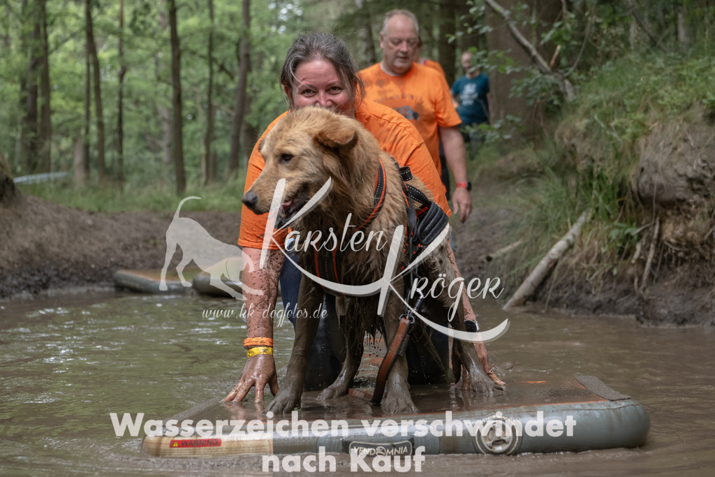 1345_ZZ95715 | kk-dogfotos