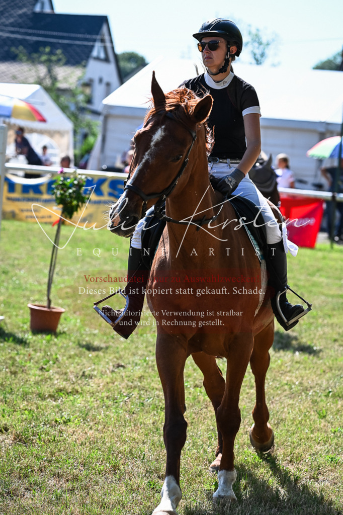 DSC_1780 | Pferde- und Turnierfotografie in Westsachsen. Pferdeportraits, Auftragszeichnungen und intuitive Kunst.