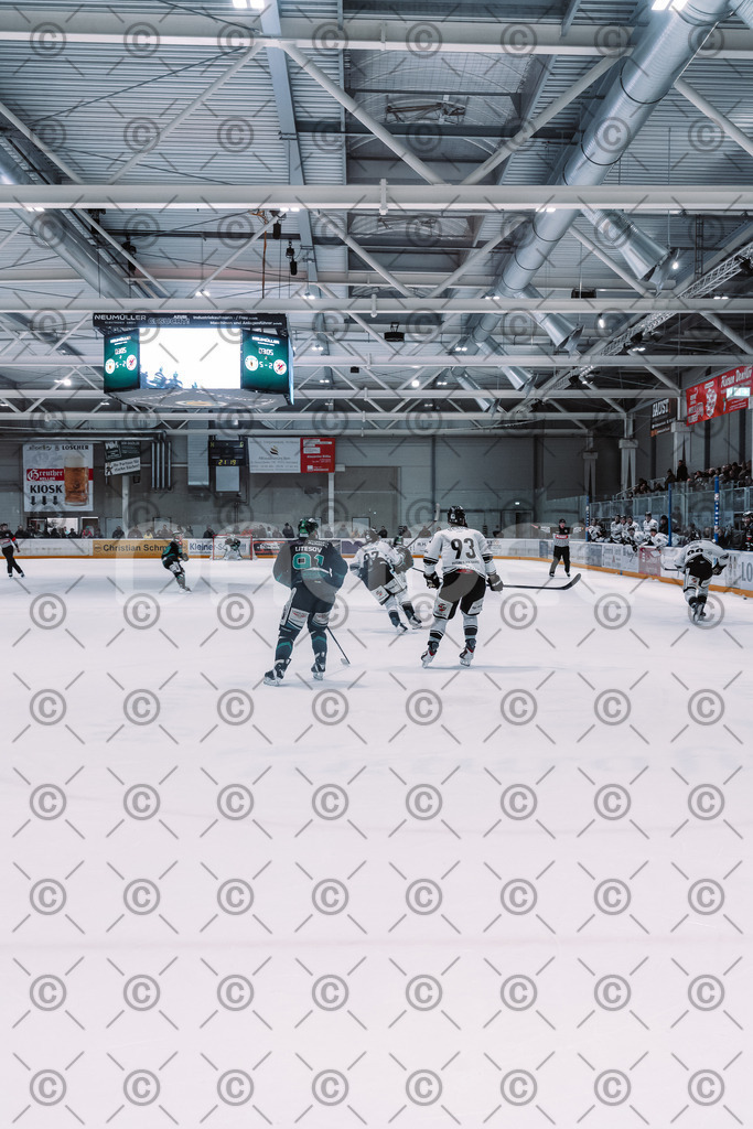 Alligators_vs_Passau_03_12_2025-48 | Höchstadt Alligators Fotogalerie: Eishockey-Action aus Franken. Professionelle Spielfotos, Portraits & Stadionbilder zum Download. Jetzt entdecken! - Realisiert mit Pictrs.com