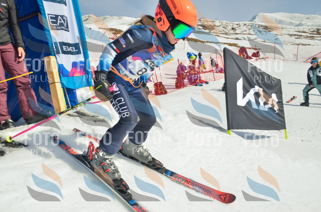 _ELE4508 | holidayphoto