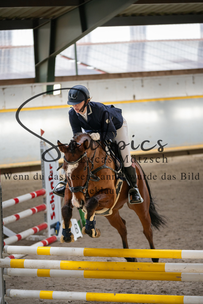 A7V02245 | Pferdefotograf