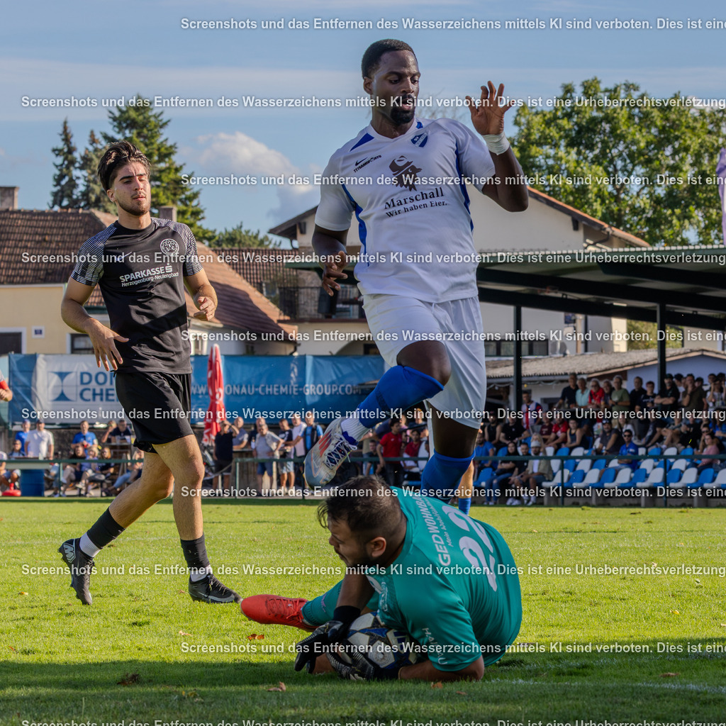 7K3A4924 | Professionelle Sportfotos aus Österreich. Für Sport und Presse – jetzt deine Fotos entdecken und bestellen!