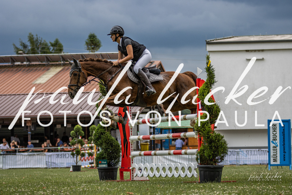 IMG_7263 | Erleben Sie dynamische Sport- und emotionale Tierfotografie in Süddeutschland mit Fotos von Paula. Spezialisiert auf Pferde- und Hundefotografie sowie Sportevents. Kontaktieren Sie mich für einzigartige und ausdrucksstarke Bilder Ihrer besonderen Momente. - Realisiert mit Pictrs.com