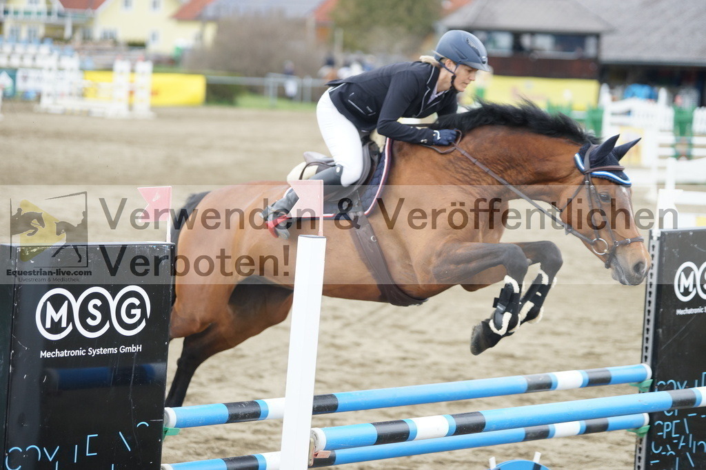 DSC01268 | equestrian-live-com