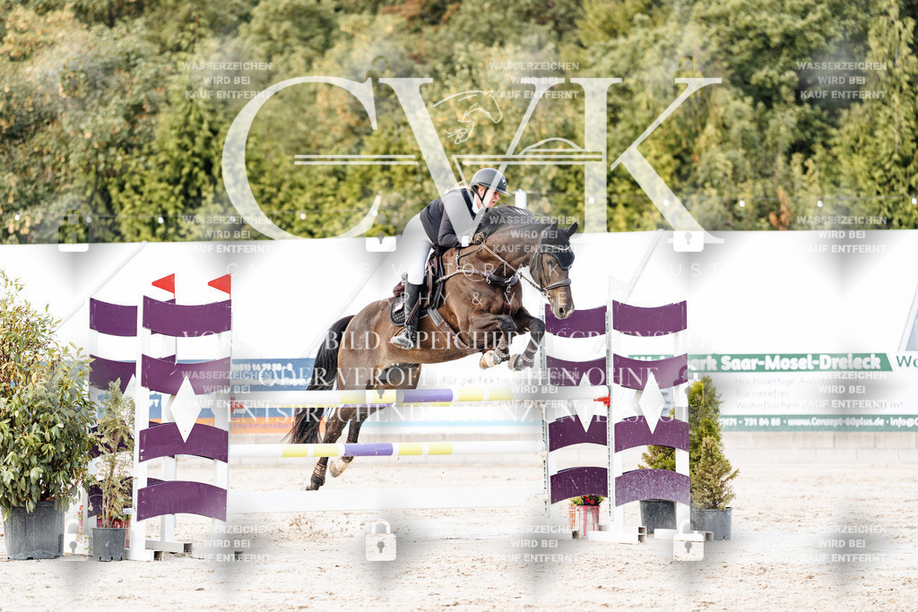 CK903707 | Turnierfotografie Pferdefotografie Trier Rheinland-Pfalz Pferdesport Reitsport Tierfotografie Sportfotografie Pferdevideo Pferdevideografie Equestrianvideography equestrianphotography  - Realisiert mit Pictrs.com