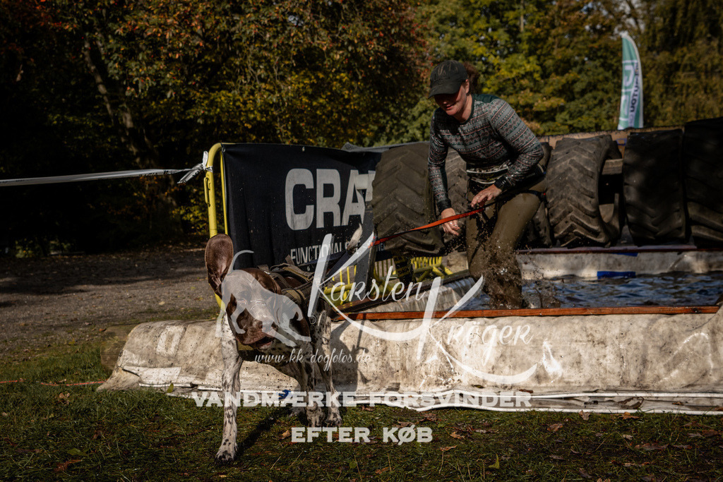 1307_ZZ92014 | kk-dogfotos