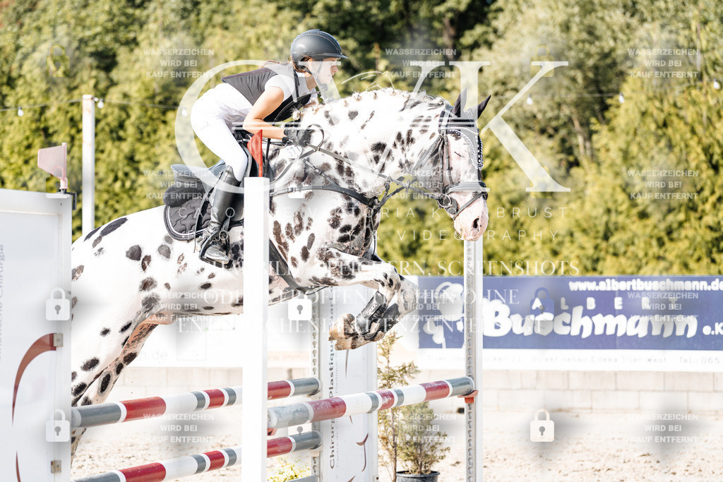 CK905986 | Turnierfotografie Pferdefotografie Trier Rheinland-Pfalz Pferdesport Reitsport Tierfotografie Sportfotografie Pferdevideo Pferdevideografie Equestrianvideography equestrianphotography  - Realisiert mit Pictrs.com