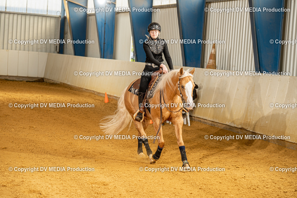 MIT00837 | dv-media-shop - Realisiert mit Pictrs.com