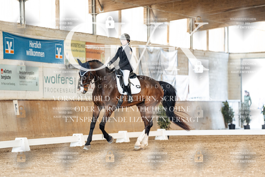 CK901195 | Turnierfotografie Pferdefotografie Trier Rheinland-Pfalz Pferdesport Reitsport Tierfotografie Sportfotografie Pferdevideo Pferdevideografie Equestrianvideography equestrianphotography  - Realisiert mit Pictrs.com