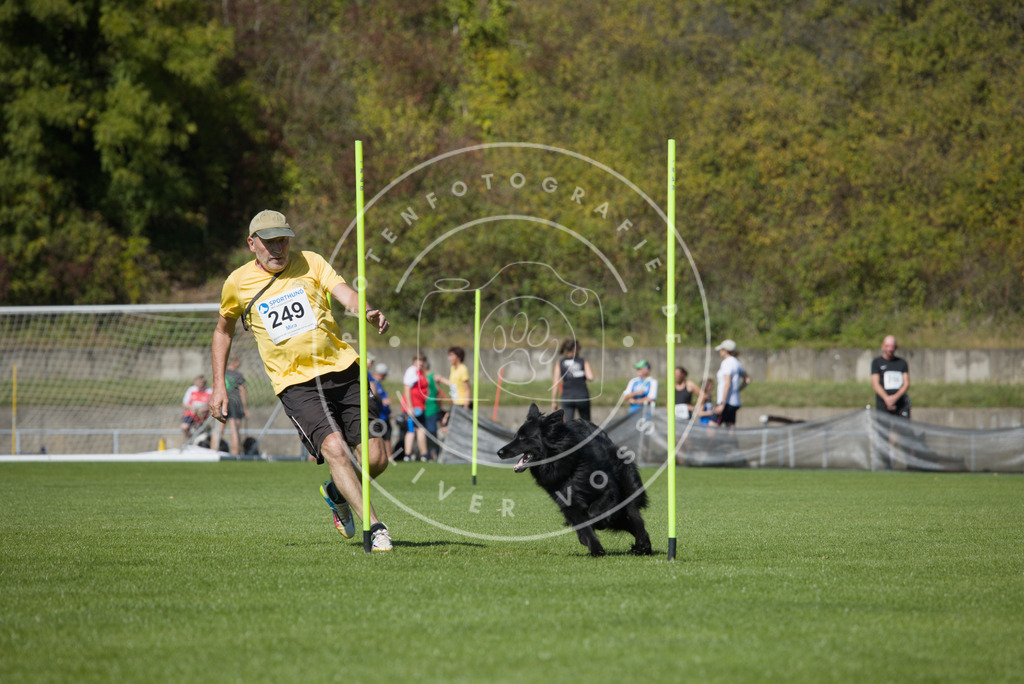 0L8A6283 | Hundefotografie, Tierfotograf, Pfotenfotografie, Fotoshooting Hund, Hunde Portrait, Hundesport, Hundeportraits, Heideshooting, Hunde, Sportfotograf, Hundefotograf, Turnierhundsport, THS,  - Realisiert mit Pictrs.com